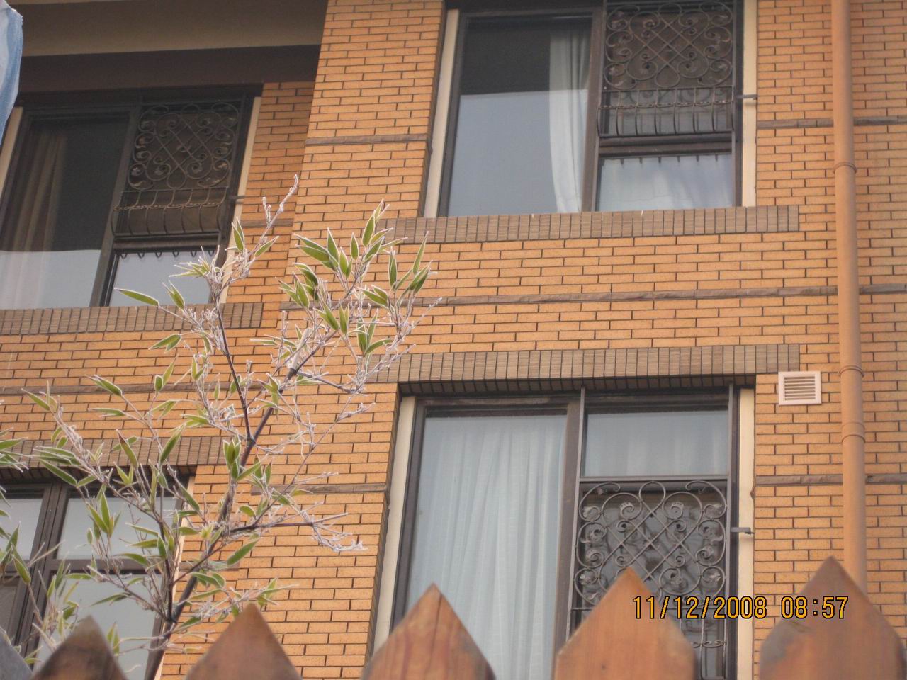 调整大小 IMG_0029.jpg