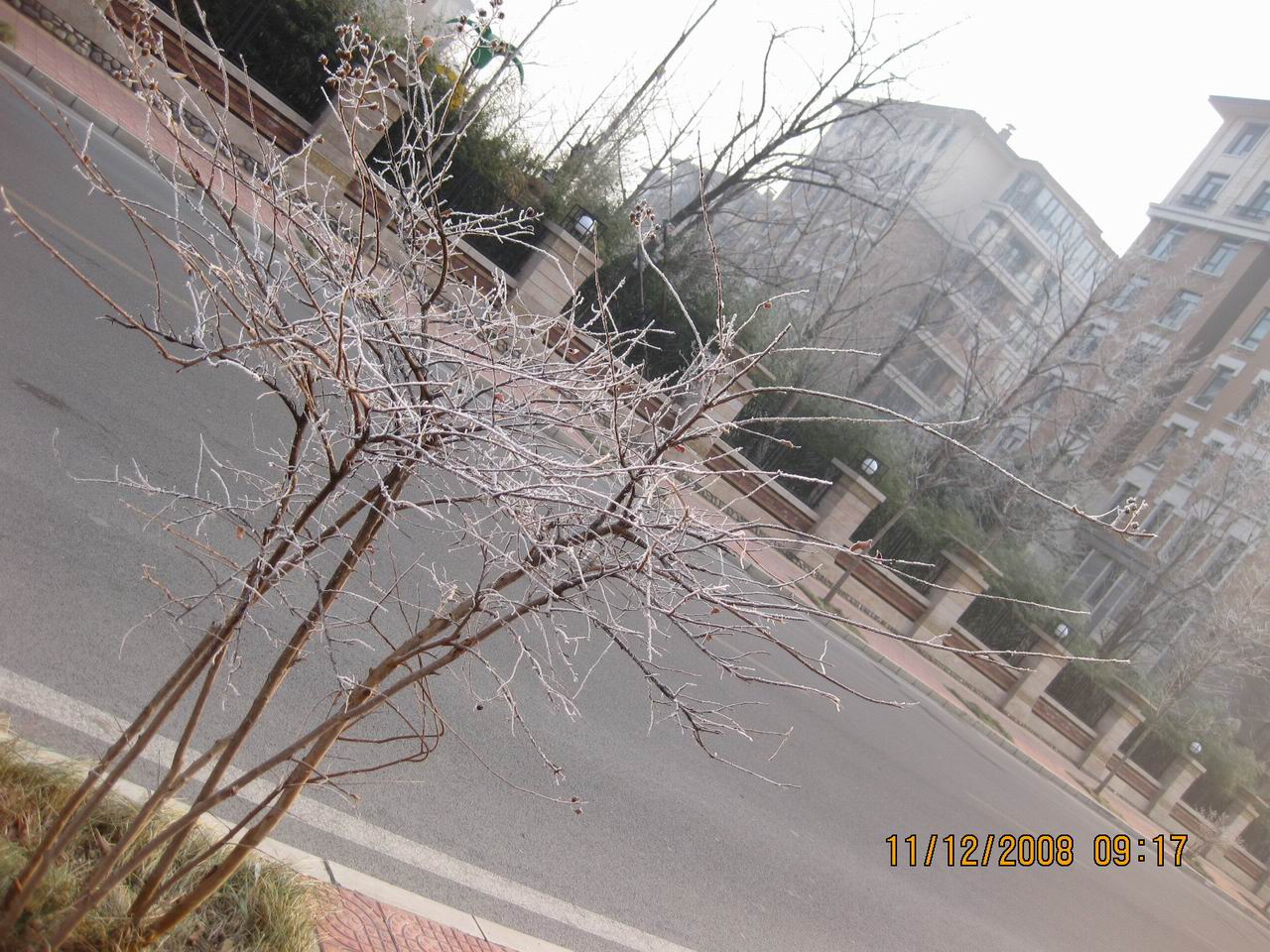 调整大小 IMG_0088.jpg