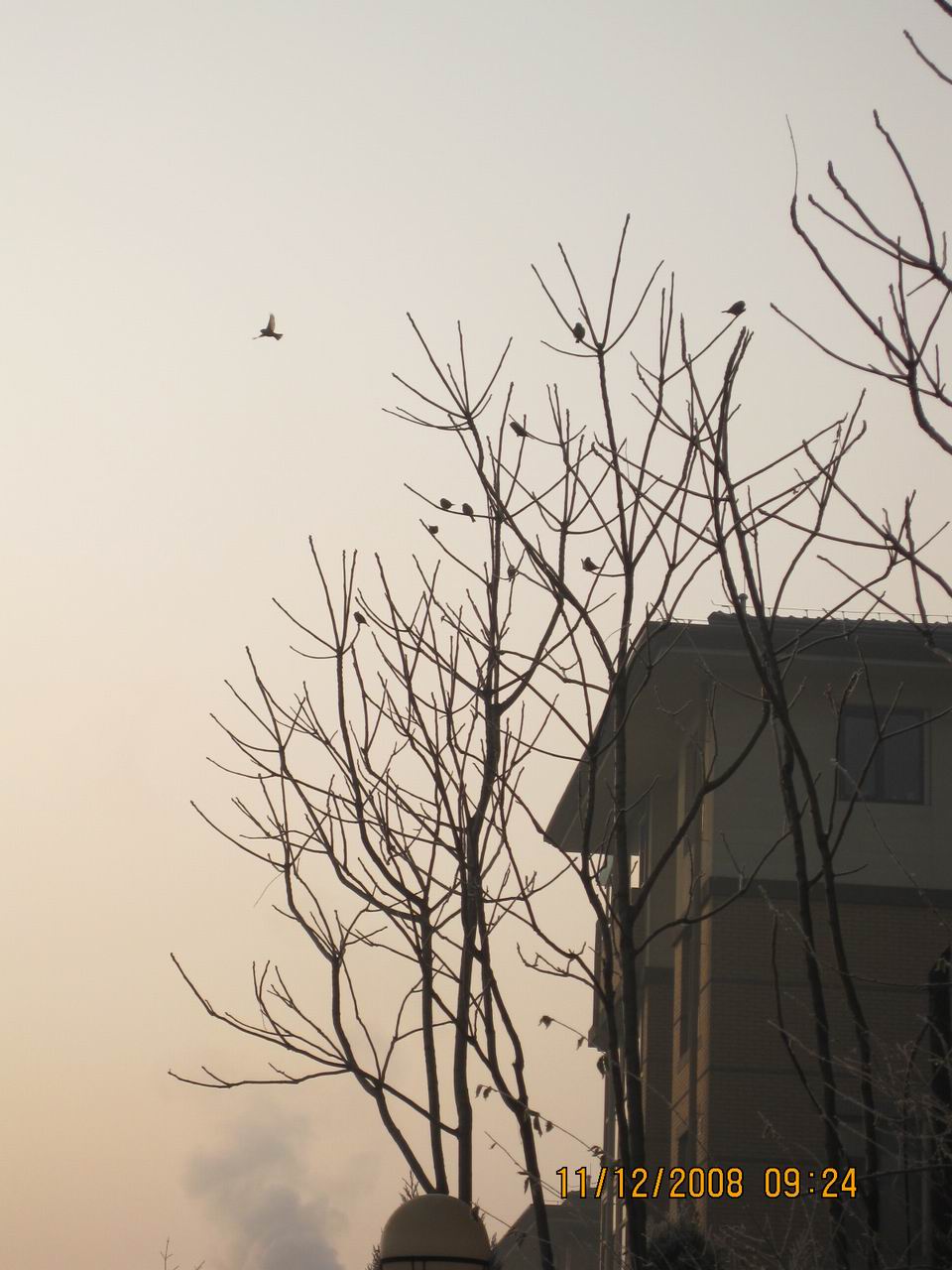 调整大小 IMG_0101.jpg