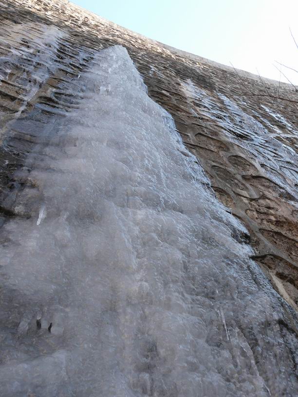 调整大小 P1030514.JPG