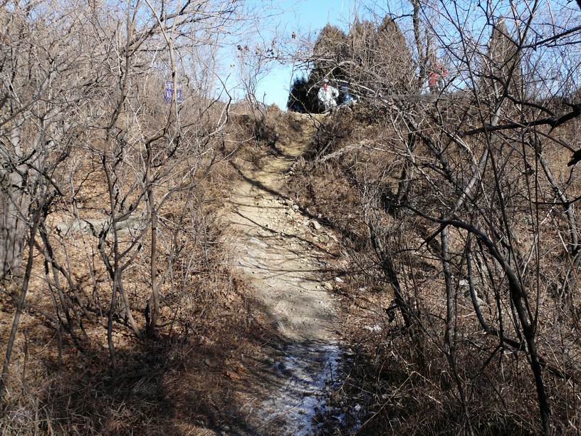 调整大小 P1030460.JPG