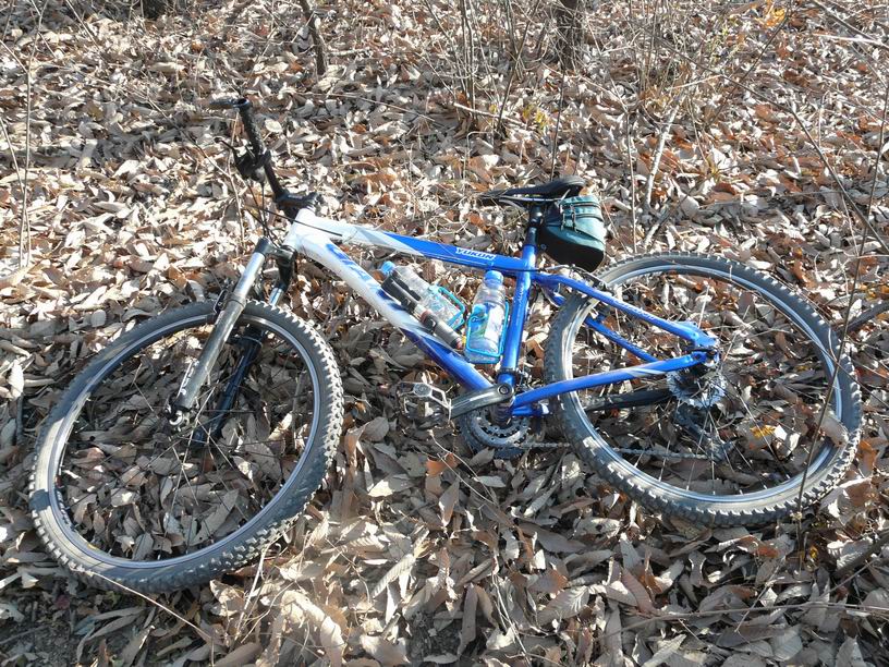 调整大小 P1030528.JPG