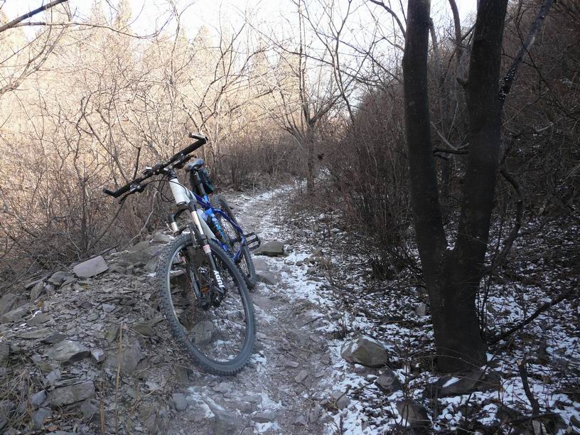 调整大小 P1030468.JPG