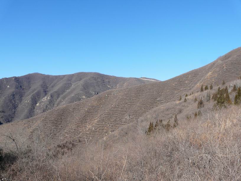 调整大小 P1030469.JPG