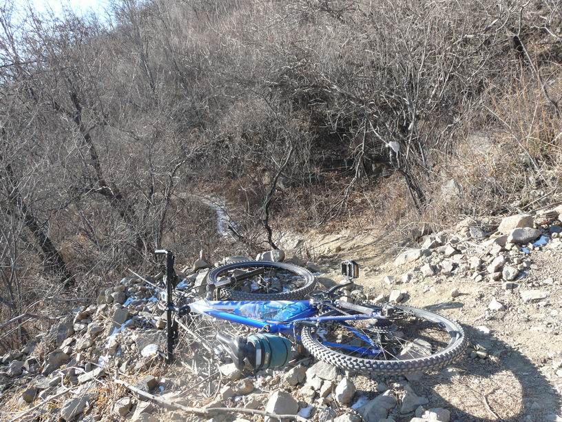 调整大小 P1030458.JPG