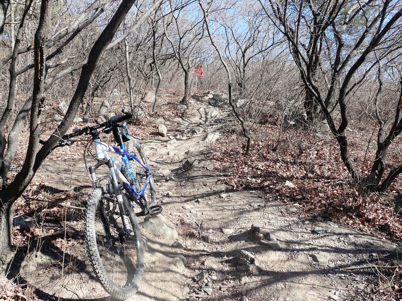 调整大小 P1030489.JPG