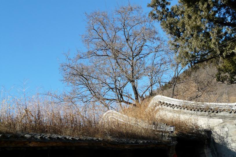 调整大小 P1030507.jpg