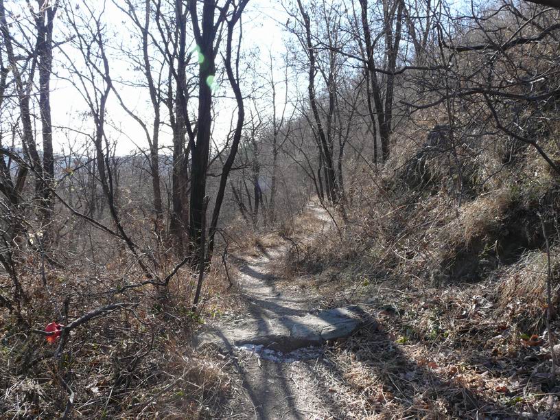 调整大小 P1030459.JPG