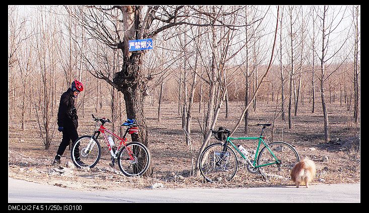 Grass研究顺手"拿"谁车好呢