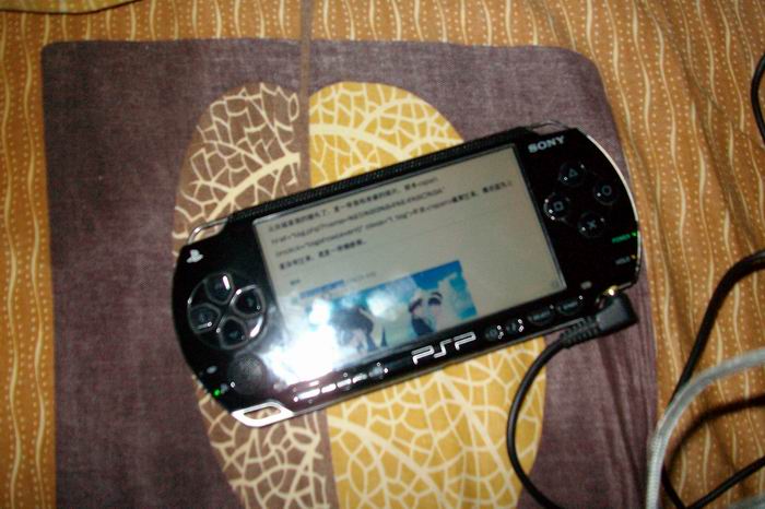 调整大小 ALIM2783.JPG