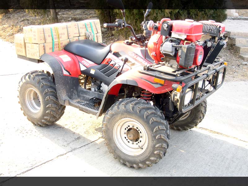 传说中的ET的新坐骑