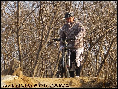本日被拉P之星 野刺猬