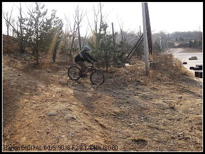 刺猬的破相机咋就照到一张