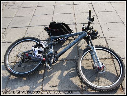 刺猬的小车 被馄饨蹂躏过的