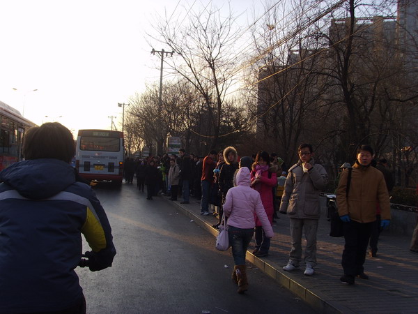 排队等公交
