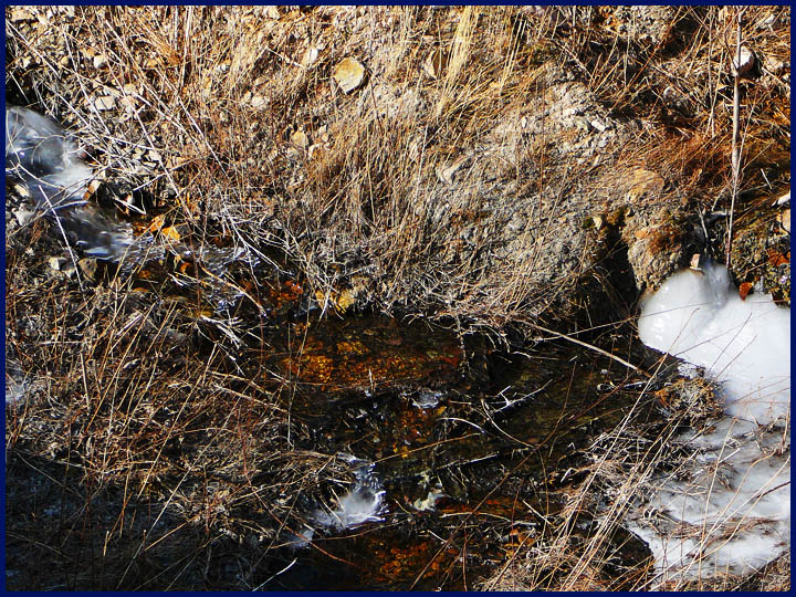 路边的哗哗流淌的山泉