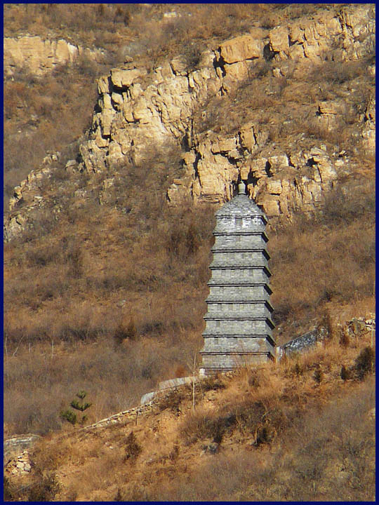 来一个长焦的特写