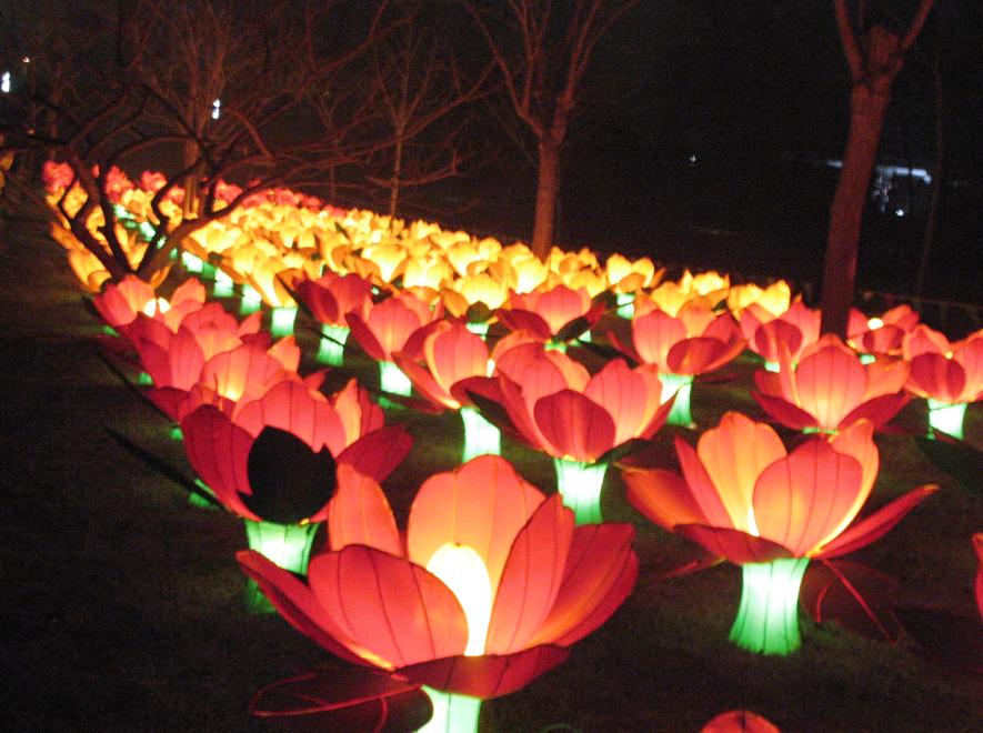 荷花灯２.jpg