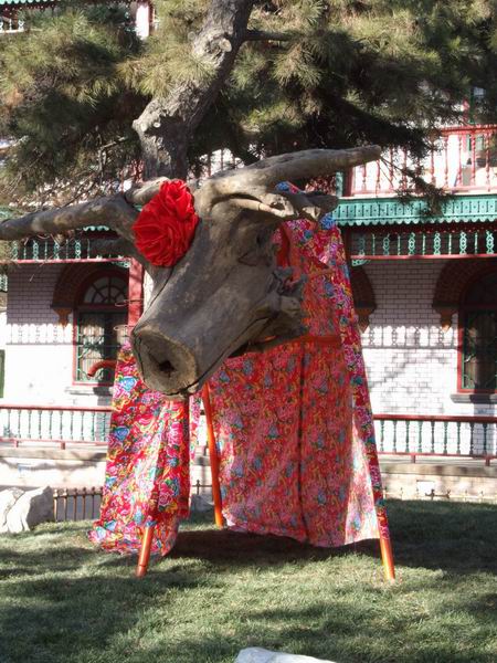 调整大小 牛肚子里的宝贝.jpg