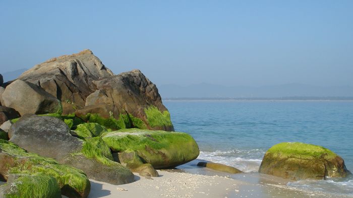 nEO_IMG_2009海南游 387.jpg