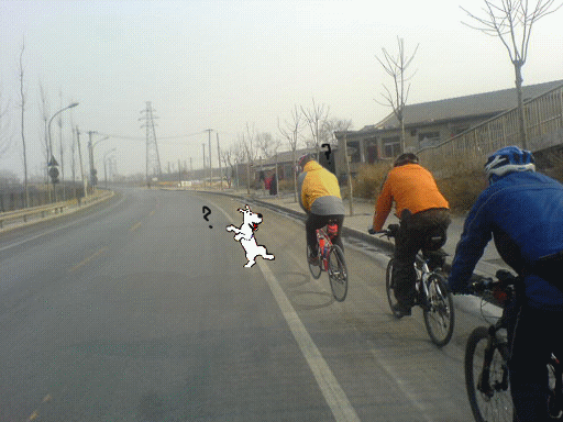 是gif 动画，等会儿，别着急。