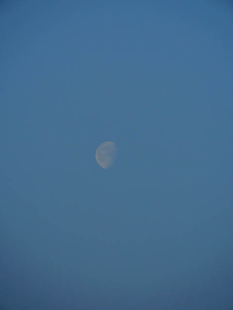 挂在西面天空的月亮，日月同辉