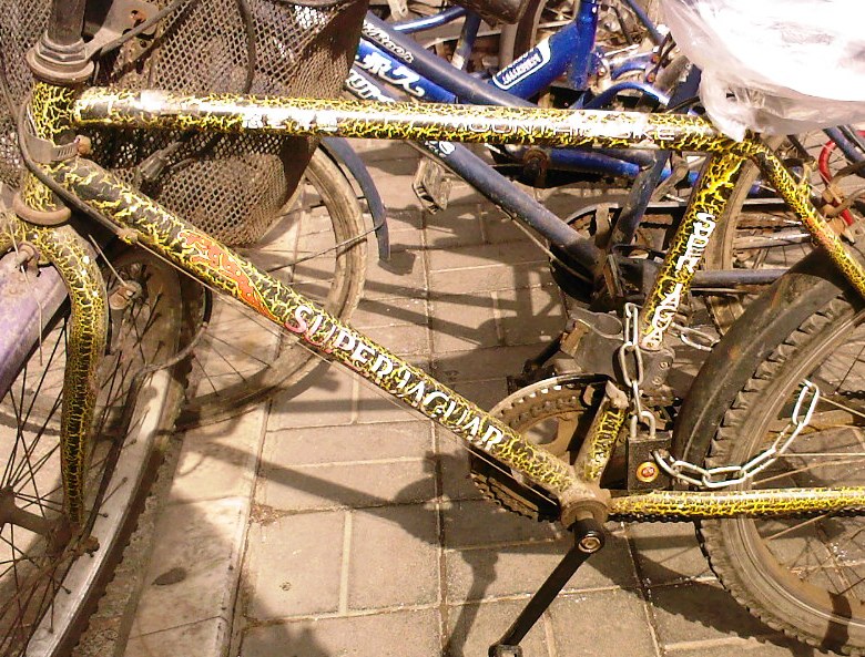 首先是被黄绿的车架吸引