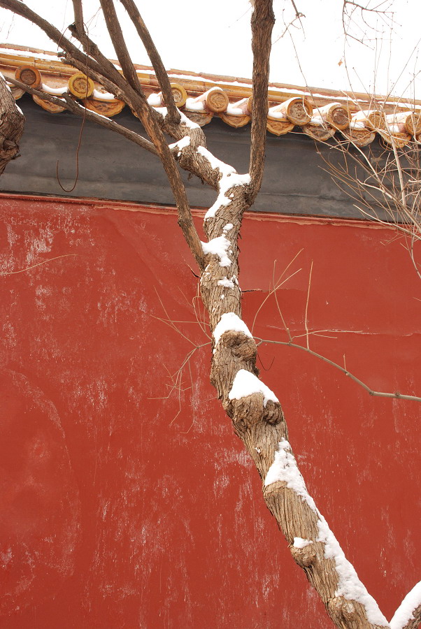 DSC_0074.jpg