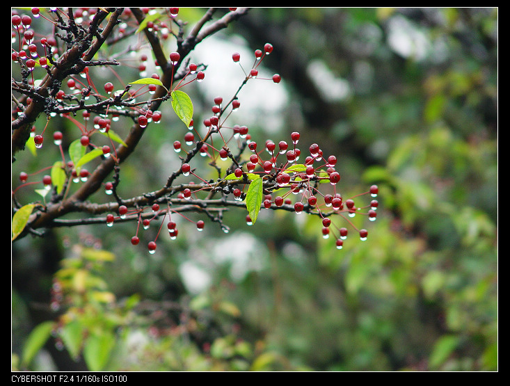 小……小……，我也不知道是啥玩艺