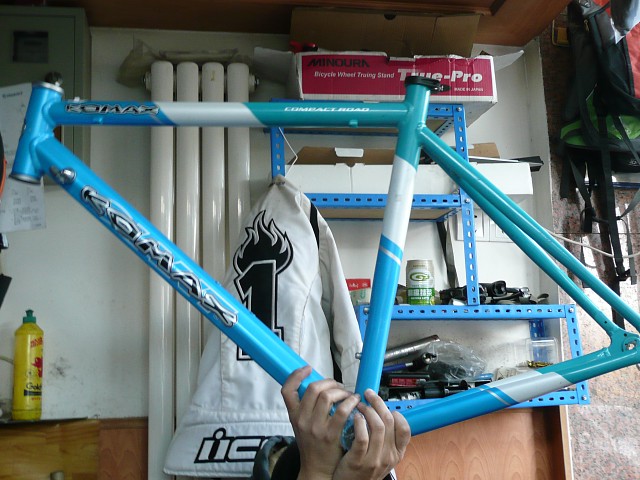 捷安特-风标50#车架