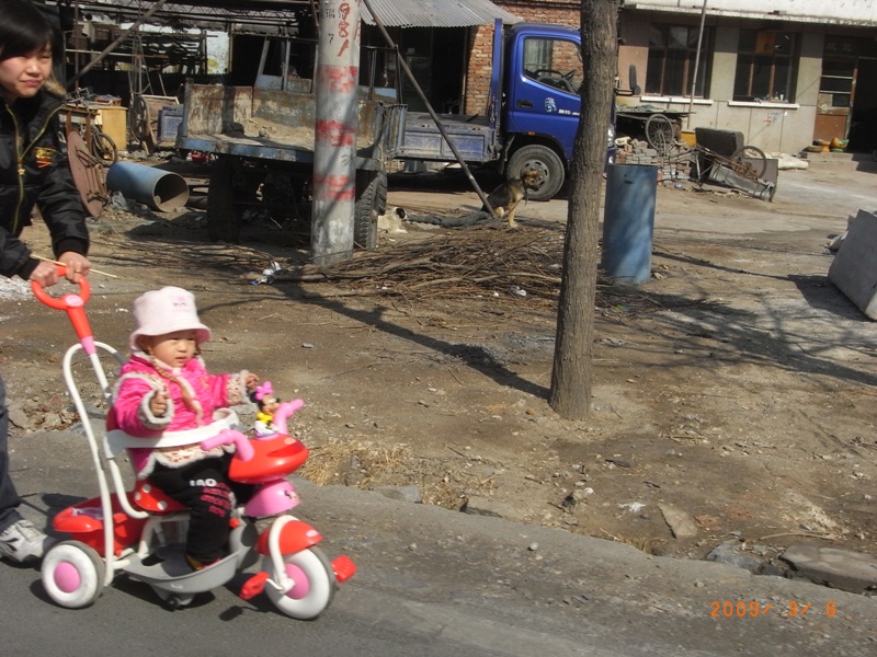 妈妈看~运动员~