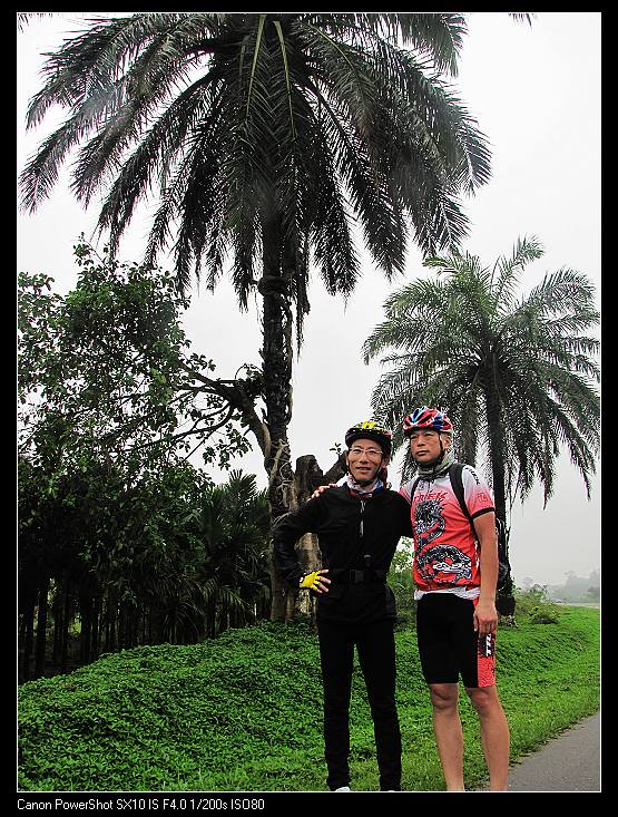 在奇怪的大树前留个影