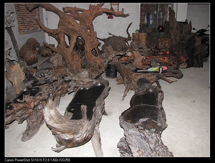 根雕，在水下的树根