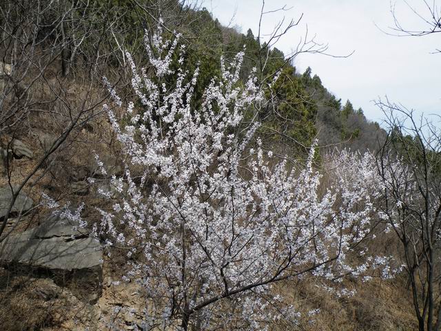 调整大小 DSCF1248.JPG