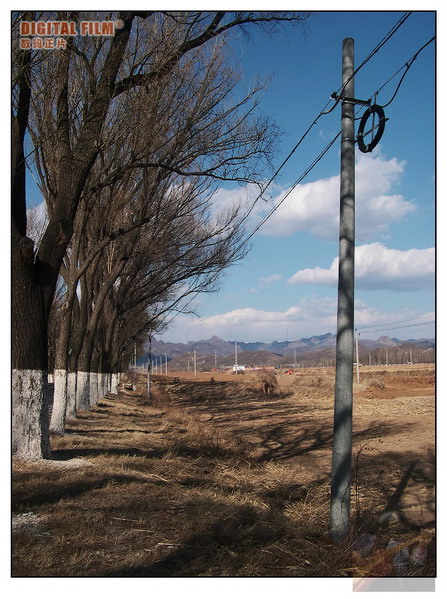 去四海的路上风光