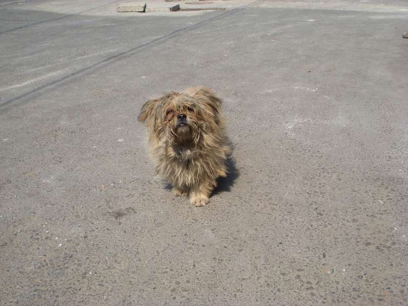 不洗澡已很多年！