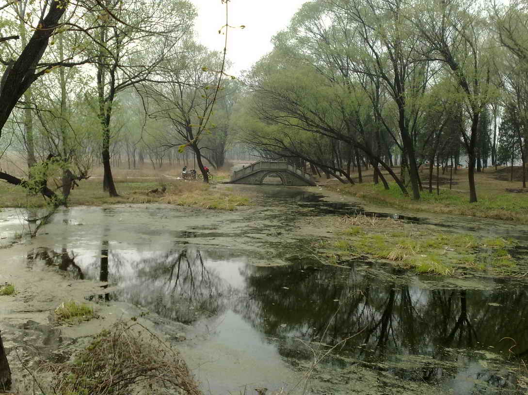 稻香湖湖水不是很干净，可能游人来的比较多