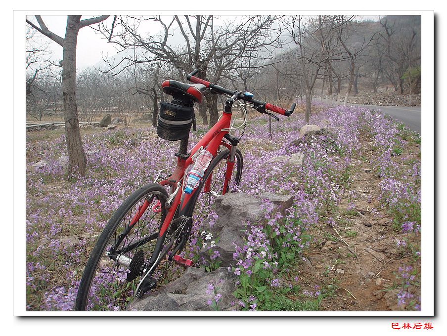 20骑到花海里.jpg