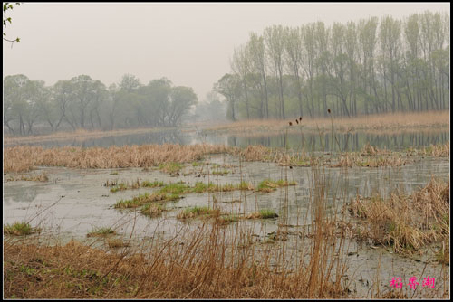 稻香湖一角。私塾学童摄。