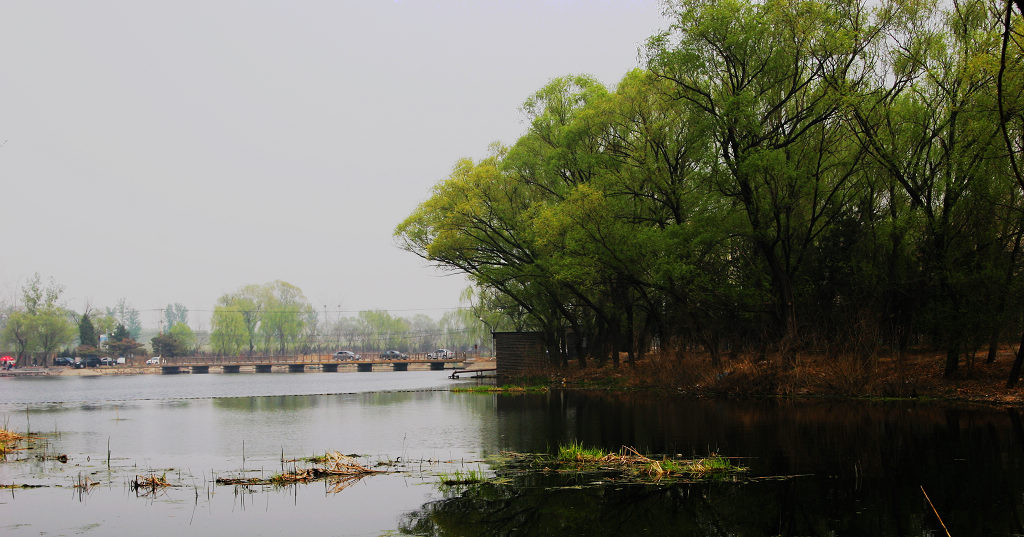 这种景致，看个大概就行了