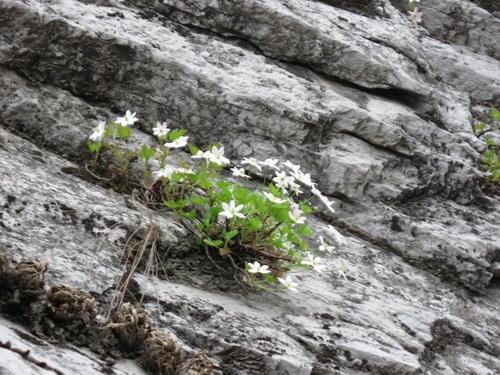 韭园-幽洞 (3).jpg