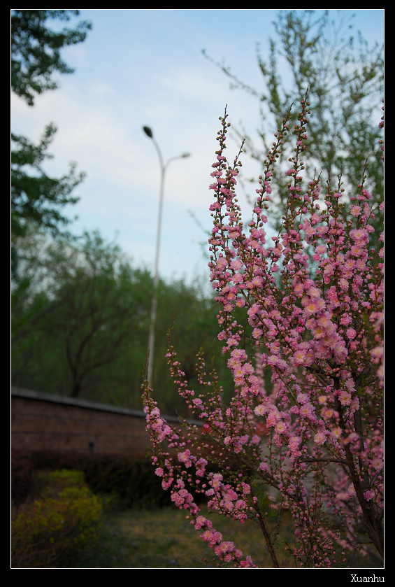 DSC_1063.jpg
