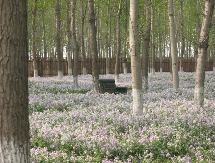 估计这沙发是给我预备的