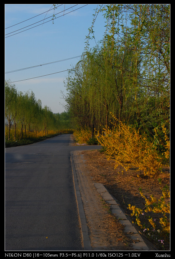 DSC_1051.jpg