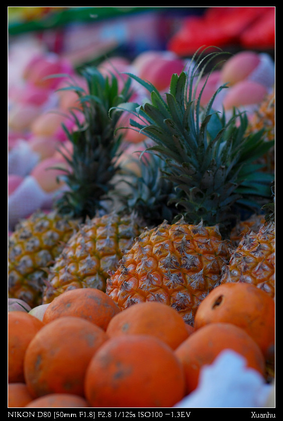 DSC_1114.jpg