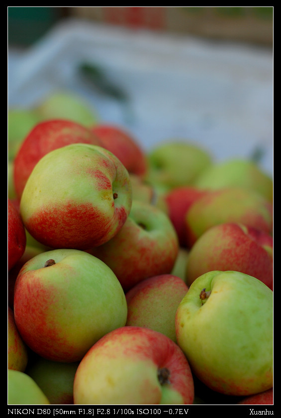 DSC_1118.jpg