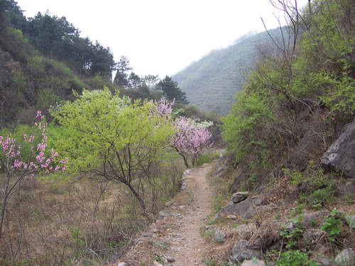 进山小路
