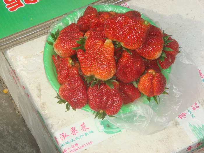 路边诱人的大草莓.jpg