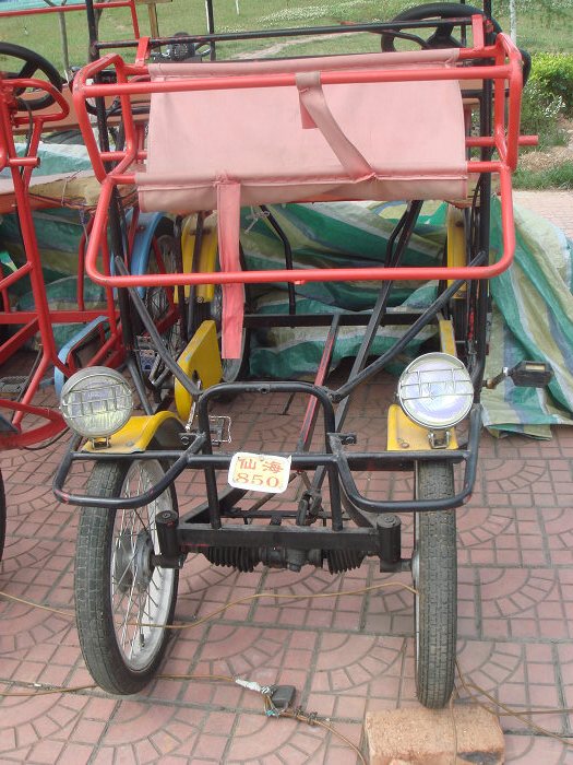 仙海湖的双人四轮自行车 需旋转.jpg
