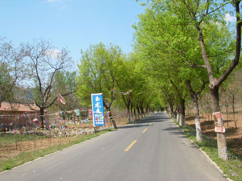 就顺这这条路走